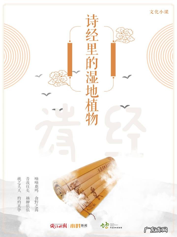 五谷中的菽指的是