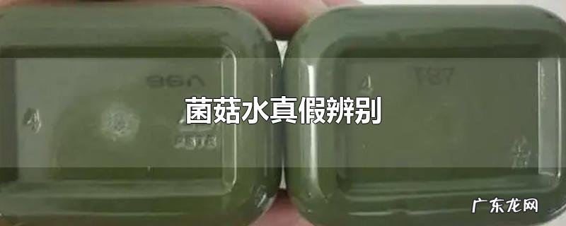 菌菇水真假辨别