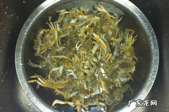 大闸蟹蒸之前要不要洗