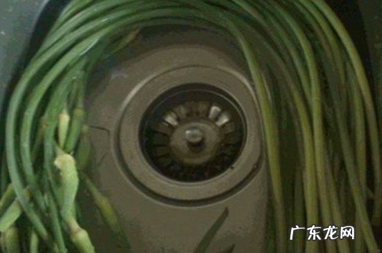 蒜苗怎么洗