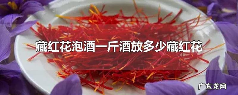 藏红花泡酒一斤酒放多少藏红花