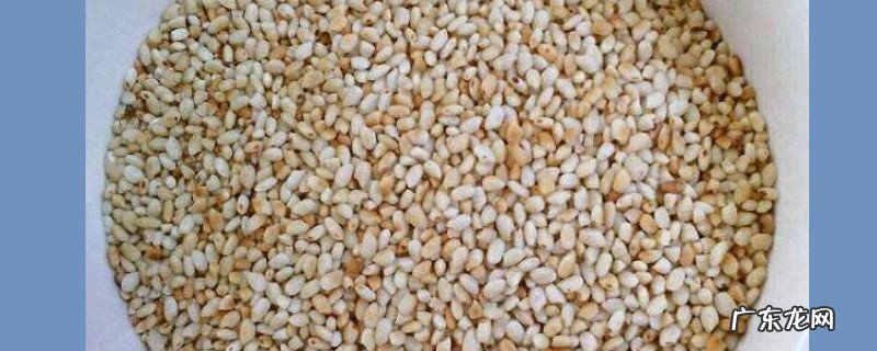 炒米茶的米要一起吃掉吗