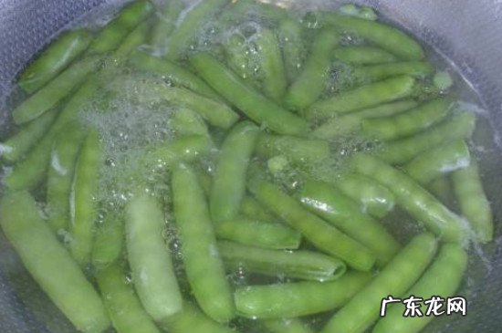 豌豆角煮多长时间能熟