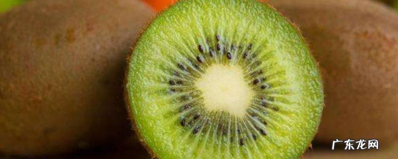 生猕猴桃能吃吗