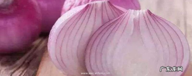 黄葱头与紫葱头的区别