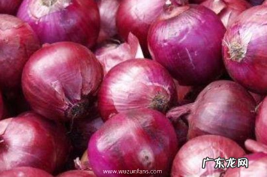 黄葱头与紫葱头的区别
