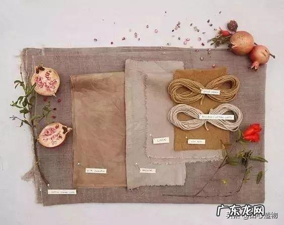 纺织环保染料 环保染料有哪些