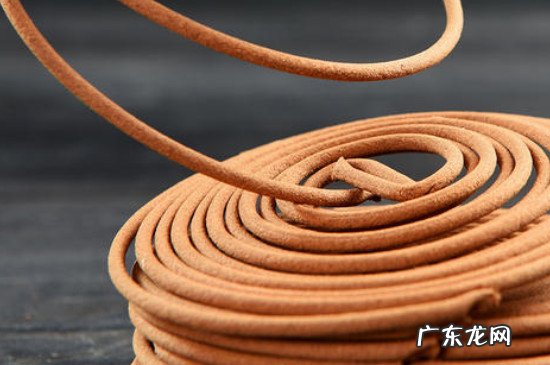 厕所的蛆虫老往上爬怎么解决