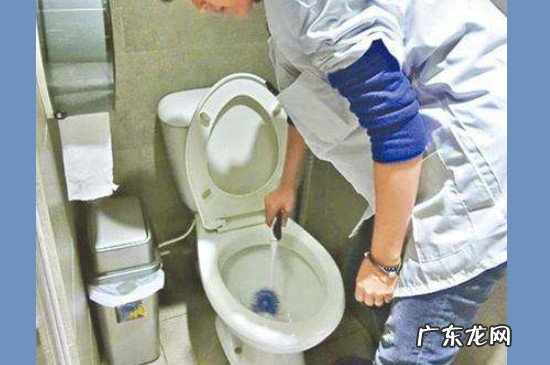 厕所的蛆虫老往上爬怎么解决