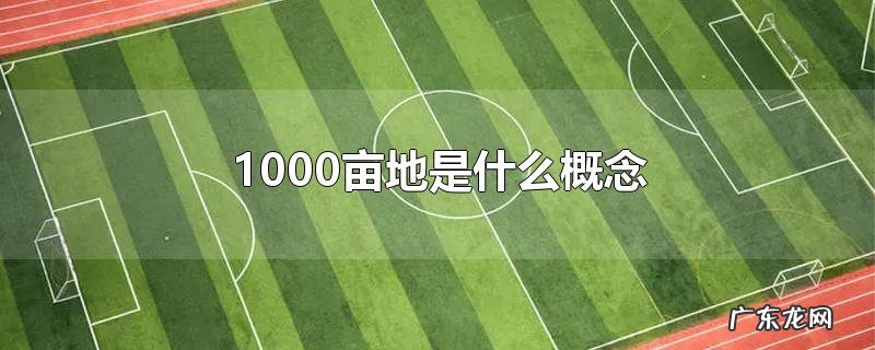 1000亩地是什么概念