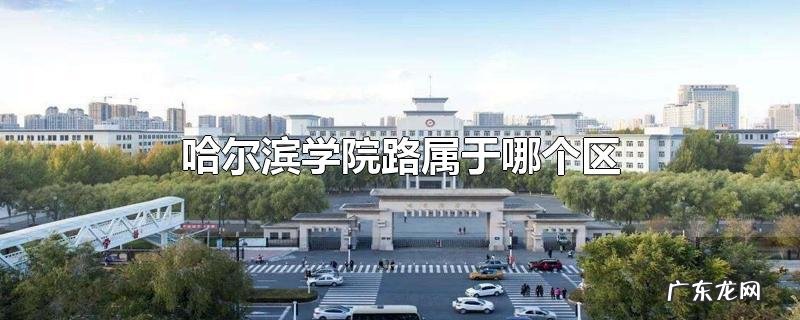 哈尔滨学院路属于哪个区