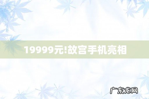19999元!故宫手机亮相