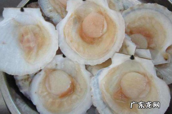 清蒸扇贝需要几分钟