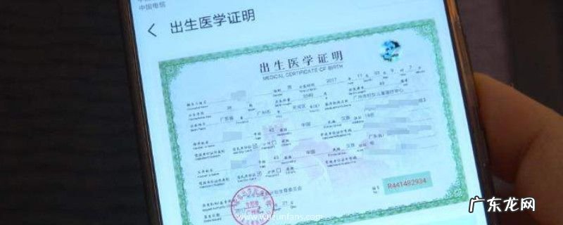 出生证丢了怎么补办