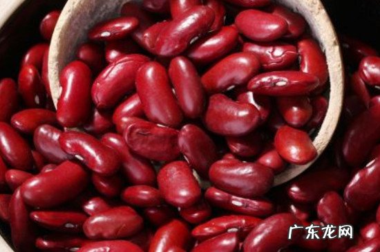 腰豆的功效与作用及食用方法