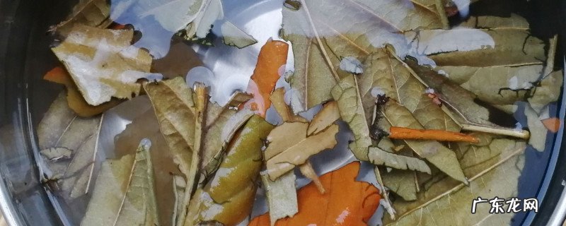 枇杷叶陈皮煮水的功效