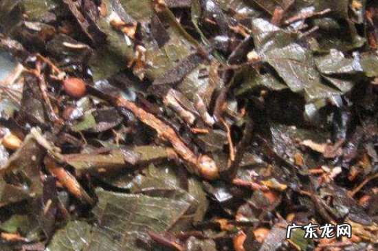 枇杷叶陈皮煮水的功效