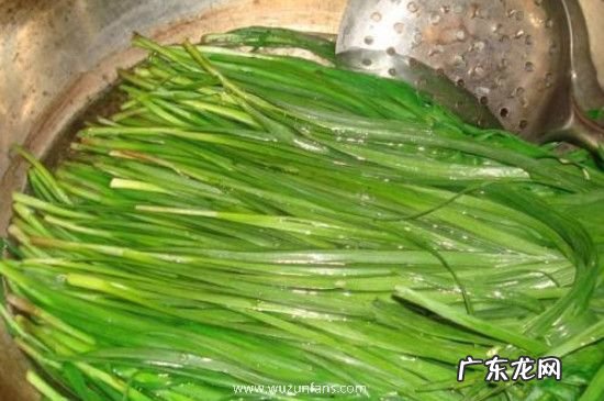 韭菜煮水的功效与作用