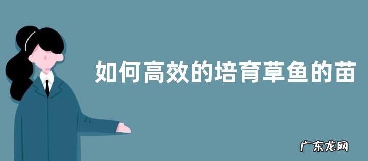 如何高效的培育草鱼的苗种,在宽敞平坦的地方建鱼塘