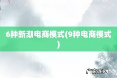 9种电商模式 6种新潮电商模式