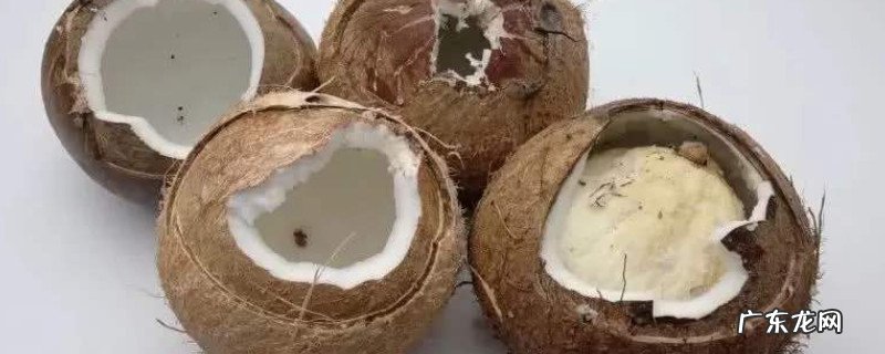 怎么打开椰子