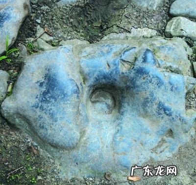 三人两口一匹马(打一个字 弹丸之地打一字儿)