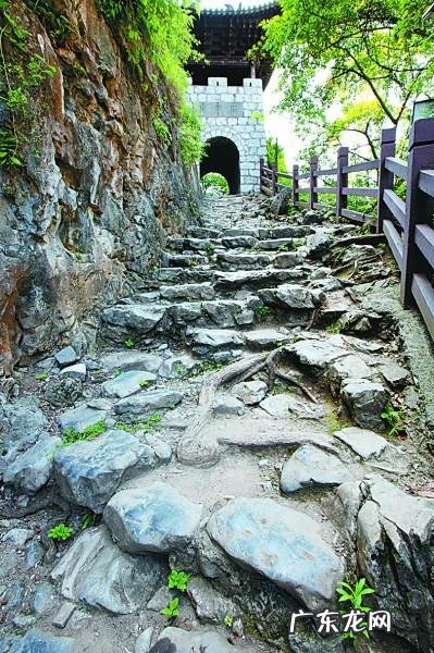 三人两口一匹马(打一个字 弹丸之地打一字儿)