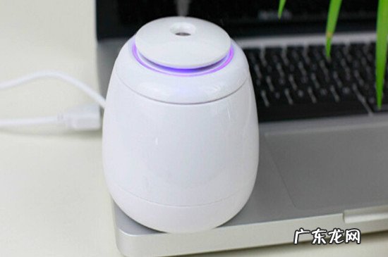 加湿器里加什么可以消毒杀菌