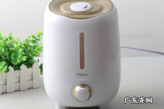 加湿器里加什么可以消毒杀菌