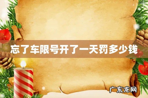忘了车限号开了一天罚多少钱