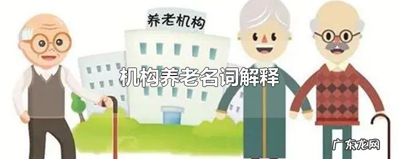机构养老名词解释