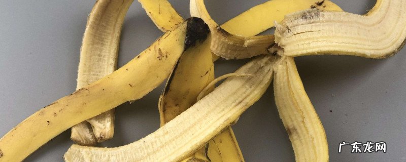 香蕉皮能吃吗