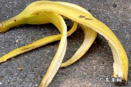 香蕉皮能吃吗