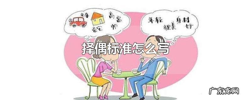 择偶标准怎么写
