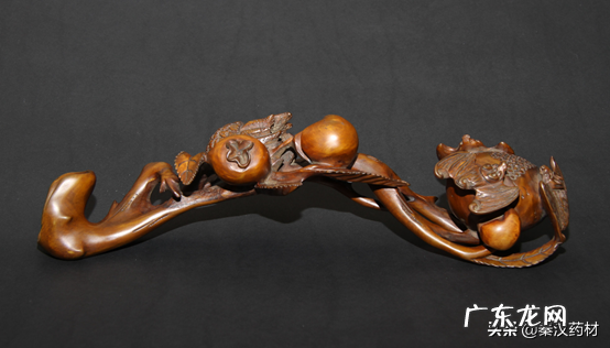 黄杨树是什么样的 黄杨科的主要特征