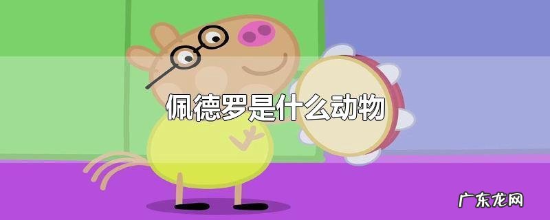 佩德罗是什么动物