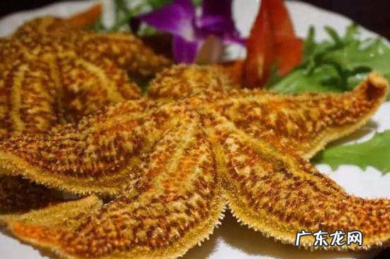 海星能吃吗
