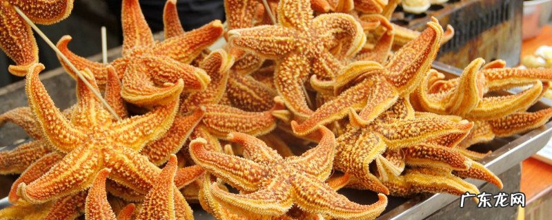 海星能吃吗
