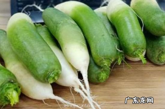 羊肉和青萝卜能一起吃吗