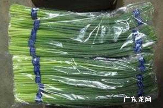 蒜黄放冰箱里怎么保存