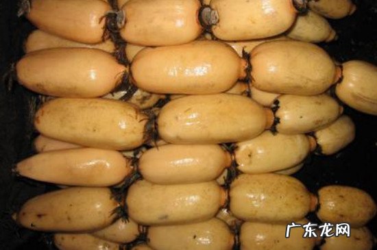 莲菜怎么保存才能不发黑