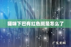 猫咪下巴有红色斑是怎么了