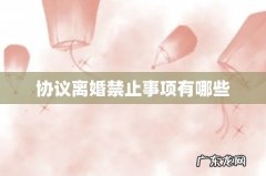 协议离婚禁止事项有哪些