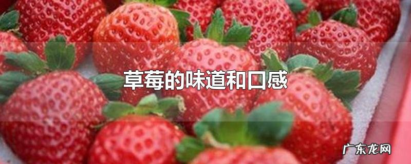 草莓的味道和口感
