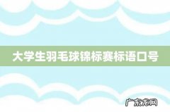 大学生羽毛球锦标赛标语口号