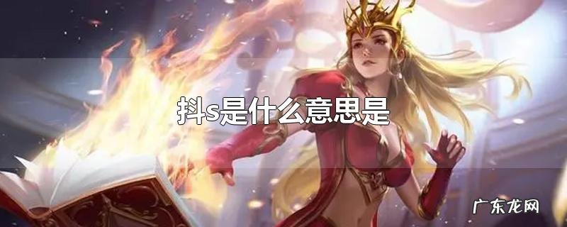 抖s是什么意思是