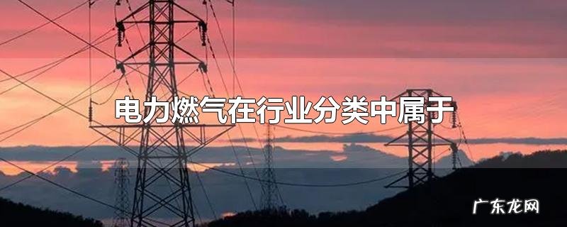 电力燃气在行业分类中属于