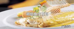 哪些鱼没有刺