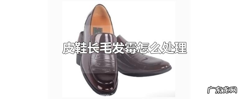 皮鞋长毛发霉怎么处理