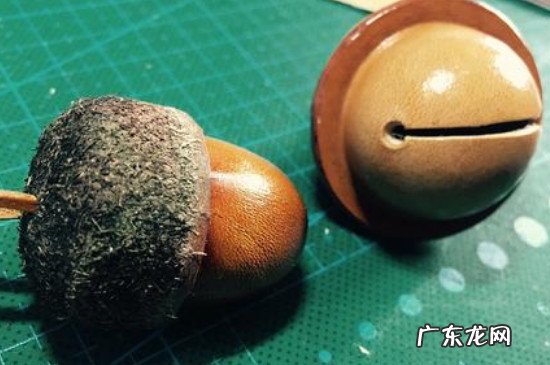 橡果和榛子的区别